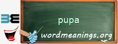 WordMeaning blackboard for pupa